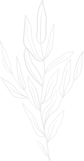 Unlock the Shine<br> in You